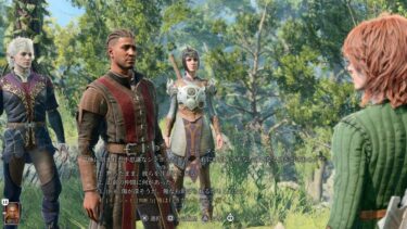 【BG3】知力使う職ってウィザードだけ？